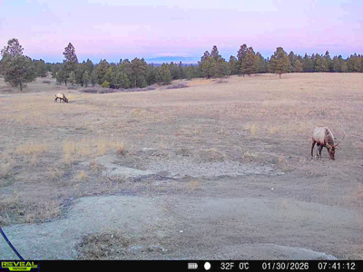 420± Acres for Sale in Musselshell County, Montana - image 30