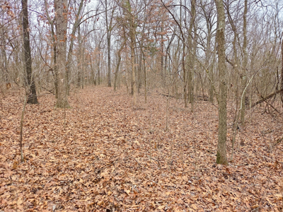 Land For Sale Walnut Grove Missouri - image 13