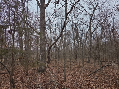 Land For Sale Walnut Grove Missouri - image 22