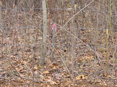 Land For Sale Walnut Grove Missouri - image 7