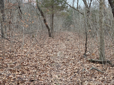 Land For Sale Walnut Grove Missouri - image 8