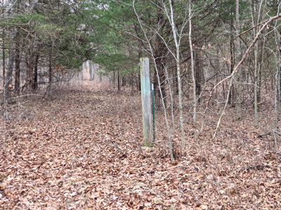 Land For Sale Walnut Grove Missouri - image 10