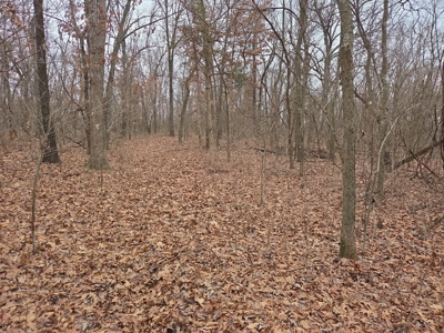 Land For Sale Walnut Grove Missouri - image 20
