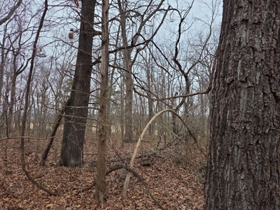 Land For Sale Walnut Grove Missouri - image 21
