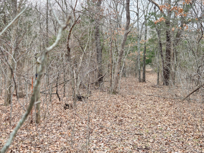 Land For Sale Walnut Grove Missouri - image 11