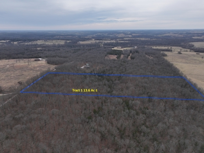 Land For Sale Walnut Grove Missouri - image 9
