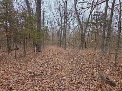 Land For Sale Walnut Grove Missouri - image 17