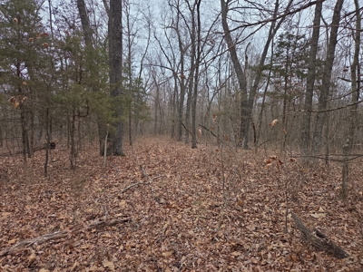 Land For Sale Walnut Grove Missouri - image 23