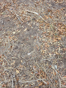 Land For Sale Walnut Grove Missouri - image 18