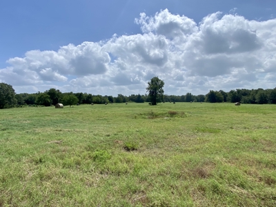 118 Acre Ranch in Winnsboro, Tx - image 3