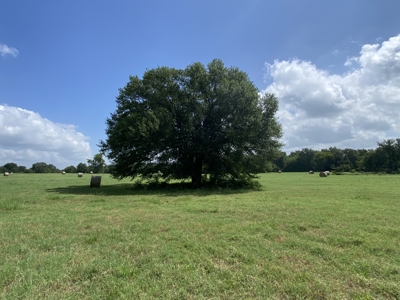118 Acre Ranch in Winnsboro, Tx - image 4
