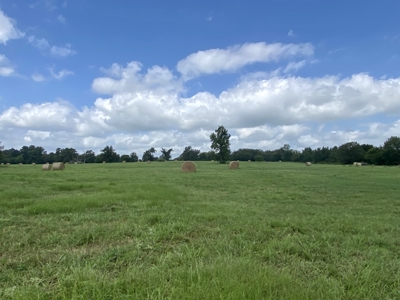 118 Acre Ranch in Winnsboro, Tx - image 10