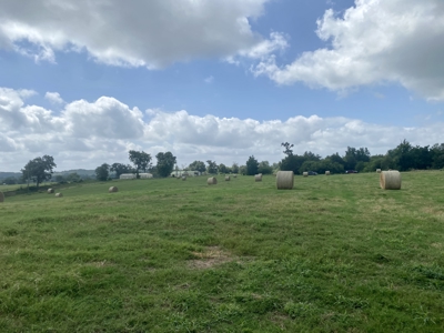 118 Acre Ranch in Winnsboro, Tx - image 9