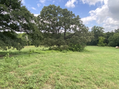 118 Acre Ranch in Winnsboro, Tx - image 8
