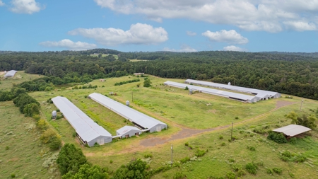 4 House Breeder Farm For Sale in Center, Tx - image 1