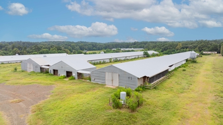 4 House Breeder Farm For Sale in Center, Tx - image 7