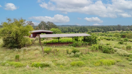 4 House Breeder Farm For Sale in Center, Tx - image 14