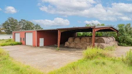 4 House Breeder Farm For Sale in Center, Tx - image 10