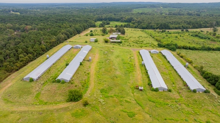 4 House Breeder Farm For Sale in Center, Tx - image 3