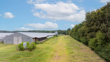 4 House Breeder Farm For Sale in Center, Tx - image 8