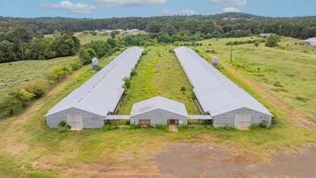 4 House Breeder Farm For Sale in Center, Tx - image 5