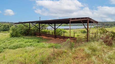 4 House Breeder Farm For Sale in Center, Tx - image 13