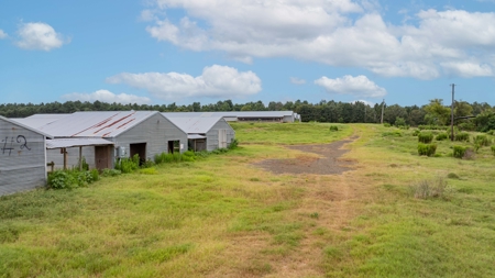 4 House Breeder Farm For Sale in Center, Tx - image 6