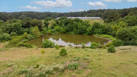 4 House Breeder Farm For Sale in Center, Tx - image 19