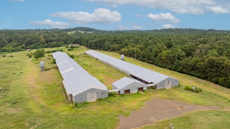 4 House Breeder Farm For Sale in Center, Tx - image 4