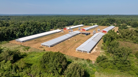 Six House Broiler Farm in Linden, Tx - image 5