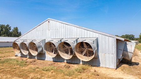 Six House Broiler Farm in Linden, Tx - image 13