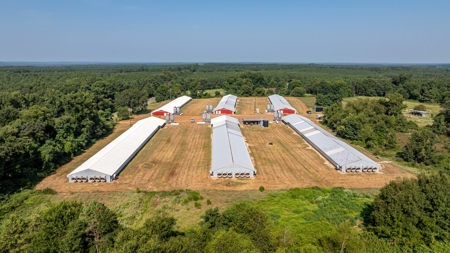 Six House Broiler Farm in Linden, Tx - image 4