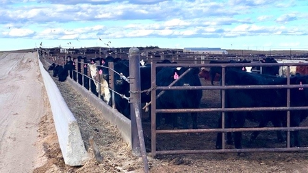 Southwest Nebraska Feedlot For Sale - image 4