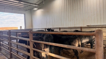 Southwest Nebraska Feedlot For Sale - image 38
