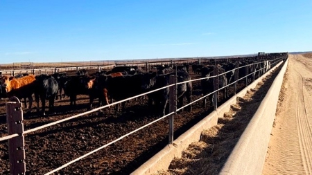 Southwest Nebraska Feedlot For Sale - image 27