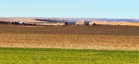Southwest Nebraska Feedlot For Sale - image 1