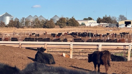 Southwest Nebraska Feedlot For Sale - image 34