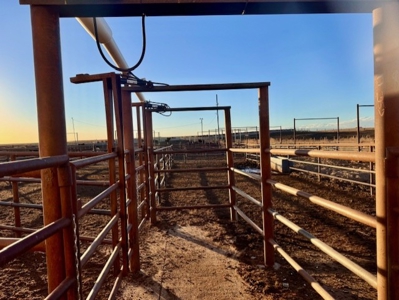 Southwest Nebraska Feedlot For Sale - image 21