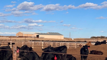 Southwest Nebraska Feedlot For Sale - image 28