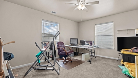 Split-Floor-Plan Home with RV Pad, Shed & Outdoor Living - image 13