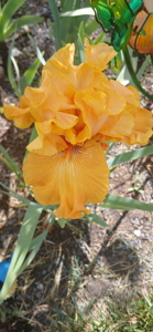 Split-Floor-Plan Home with RV Pad, Shed & Outdoor Living - image 21