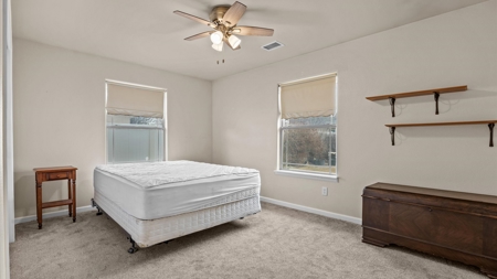 Split-Floor-Plan Home with RV Pad, Shed & Outdoor Living - image 12