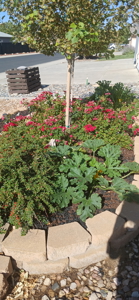 Split-Floor-Plan Home with RV Pad, Shed & Outdoor Living - image 17