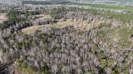 129 Acre Recreational Property for Sale in Clarke County, AL - image 12