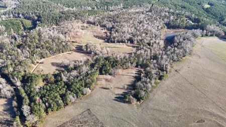 129 Acre Recreational Property for Sale in Clarke County, AL - image 7