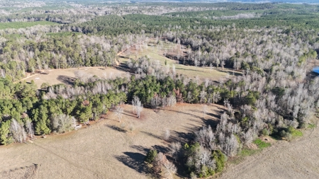 129 Acre Recreational Property for Sale in Clarke County, AL - image 4