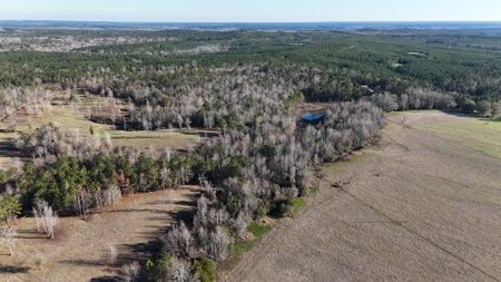 129 Acre Recreational Property for Sale in Clarke County, AL - image 5