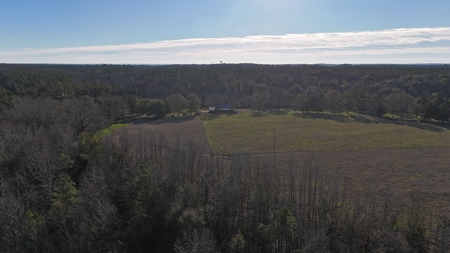 129 Acre Recreational Property for Sale in Clarke County, AL - image 2