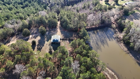 129 Acre Recreational Property for Sale in Clarke County, AL - image 10