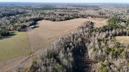 129 Acre Recreational Property for Sale in Clarke County, AL - image 11
